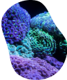 Oncology