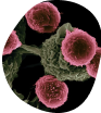 Oncology